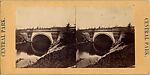 [25 Stereographic Views of Balcony Bridge, Central Park, New York], Various, American, Albumen silver prints