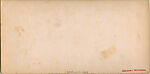 [25 Stereographic Views of Balcony Bridge, Central Park, New York], Various, American, Albumen silver prints