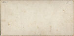 [25 Stereographic Views of Balcony Bridge, Central Park, New York], Various, American, Albumen silver prints