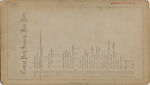 [170 Stereographic Views of Bow Bridge, Central Park, New York], Various, American, Albumen silver prints