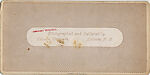 [170 Stereographic Views of Bow Bridge, Central Park, New York], Various, American, Albumen silver prints