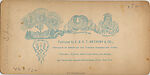 [170 Stereographic Views of Bow Bridge, Central Park, New York], Various, American, Albumen silver prints