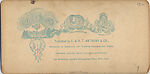[170 Stereographic Views of Bow Bridge, Central Park, New York], Various, American, Albumen silver prints