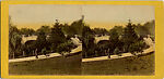 [170 Stereographic Views of Bow Bridge, Central Park, New York], Various, American, Albumen silver prints