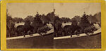 [170 Stereographic Views of Bow Bridge, Central Park, New York], Various, American, Albumen silver prints