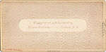 [170 Stereographic Views of Bow Bridge, Central Park, New York], Various, American, Albumen silver prints