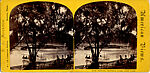 [170 Stereographic Views of Bow Bridge, Central Park, New York], Various, American, Albumen silver prints