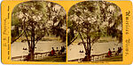 [170 Stereographic Views of Bow Bridge, Central Park, New York], Various, American, Albumen silver prints