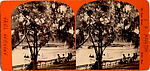 [170 Stereographic Views of Bow Bridge, Central Park, New York], Various, American, Albumen silver prints