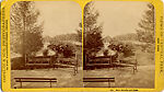 [170 Stereographic Views of Bow Bridge, Central Park, New York], Various, American, Albumen silver prints