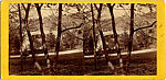 [170 Stereographic Views of Bow Bridge, Central Park, New York], Various, American, Albumen silver prints