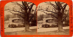 [170 Stereographic Views of Bow Bridge, Central Park, New York], Various, American, Albumen silver prints