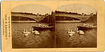 [170 Stereographic Views of Bow Bridge, Central Park, New York], Various, American, Albumen silver prints
