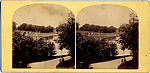 [170 Stereographic Views of Bow Bridge, Central Park, New York], Various, American, Albumen silver prints