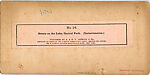 [170 Stereographic Views of Bow Bridge, Central Park, New York], Various, American, Albumen silver prints