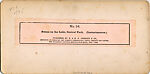 [170 Stereographic Views of Bow Bridge, Central Park, New York], Various, American, Albumen silver prints