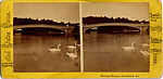 [170 Stereographic Views of Bow Bridge, Central Park, New York], Various, American, Albumen silver prints