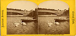 [170 Stereographic Views of Bow Bridge, Central Park, New York], Various, American, Albumen silver prints