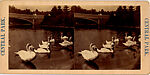 [170 Stereographic Views of Bow Bridge, Central Park, New York], Various, American, Albumen silver prints
