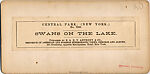 [170 Stereographic Views of Bow Bridge, Central Park, New York], Various, American, Albumen silver prints