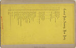 [170 Stereographic Views of Bow Bridge, Central Park, New York], Various, American, Albumen silver prints