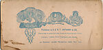 [170 Stereographic Views of Bow Bridge, Central Park, New York], Various, American, Albumen silver prints