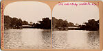 [170 Stereographic Views of Bow Bridge, Central Park, New York], Various, American, Albumen silver prints