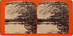 [170 Stereographic Views of Bow Bridge, Central Park, New York], Various, American, Albumen silver prints