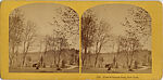[170 Stereographic Views of Bow Bridge, Central Park, New York], Various, American, Albumen silver prints