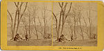 [170 Stereographic Views of Bow Bridge, Central Park, New York], Various, American, Albumen silver prints