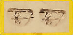 [170 Stereographic Views of Bow Bridge, Central Park, New York], Various, American, Albumen silver prints