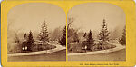 [170 Stereographic Views of Bow Bridge, Central Park, New York], Various, American, Albumen silver prints