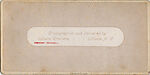[170 Stereographic Views of Bow Bridge, Central Park, New York], Various, American, Albumen silver prints