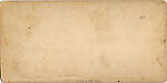 [170 Stereographic Views of Bow Bridge, Central Park, New York], Various, American, Albumen silver prints