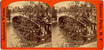 [170 Stereographic Views of Bow Bridge, Central Park, New York], Various, American, Albumen silver prints