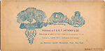[170 Stereographic Views of Bow Bridge, Central Park, New York], Various, American, Albumen silver prints
