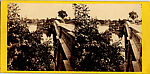 [170 Stereographic Views of Bow Bridge, Central Park, New York], Various, American, Albumen silver prints