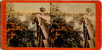 [170 Stereographic Views of Bow Bridge, Central Park, New York], Various, American, Albumen silver prints