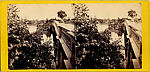 [170 Stereographic Views of Bow Bridge, Central Park, New York], Various, American, Albumen silver prints