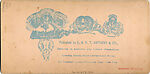 [170 Stereographic Views of Bow Bridge, Central Park, New York], Various, American, Albumen silver prints