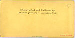 [170 Stereographic Views of Bow Bridge, Central Park, New York], Various, American, Albumen silver prints