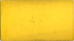 [170 Stereographic Views of Bow Bridge, Central Park, New York], Various, American, Albumen silver prints