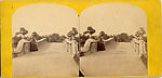 [170 Stereographic Views of Bow Bridge, Central Park, New York], Various, American, Albumen silver prints