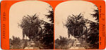 [170 Stereographic Views of Bow Bridge, Central Park, New York], Various, American, Albumen silver prints