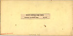 [7 Stereographic Views of Dale Head, Central Park, New York], Various, American, Albumen silver prints