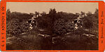 [61 Stereographic Views of Marble Arch, Central Park, New York], Various, American, Albumen silver prints