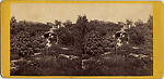 [61 Stereographic Views of Marble Arch, Central Park, New York], Various, American, Albumen silver prints