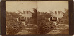 [61 Stereographic Views of Marble Arch, Central Park, New York], Various, American, Albumen silver prints