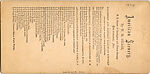 [14 Stereographic Views of Denesmouth Arch, Central Park, New York], Various, American, Albumen silver prints