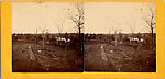 [17 Stereographic Views of Dipway Arch, Central Park, New York], Various, American, Albumen silver prints